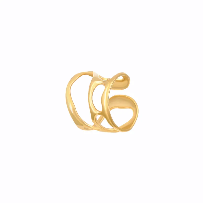 Geometric Open Rings